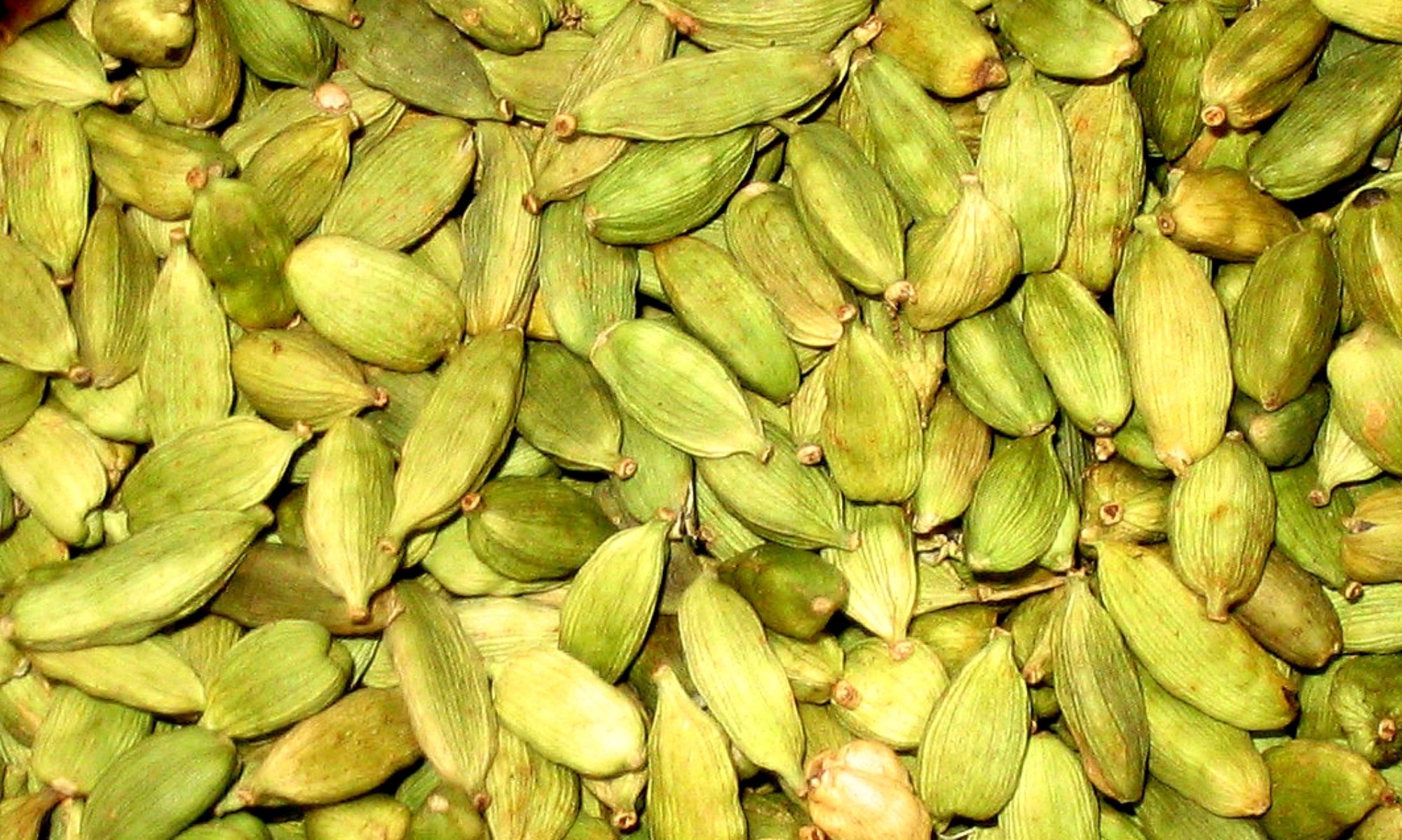 Fresh green cardamom pods